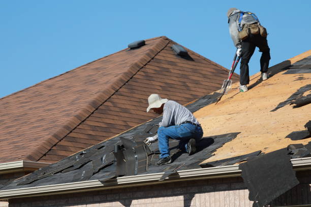 Best Roof Ventilation Installation  in Berwyn, IL